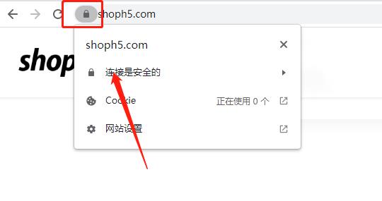 网站添加SSL效果